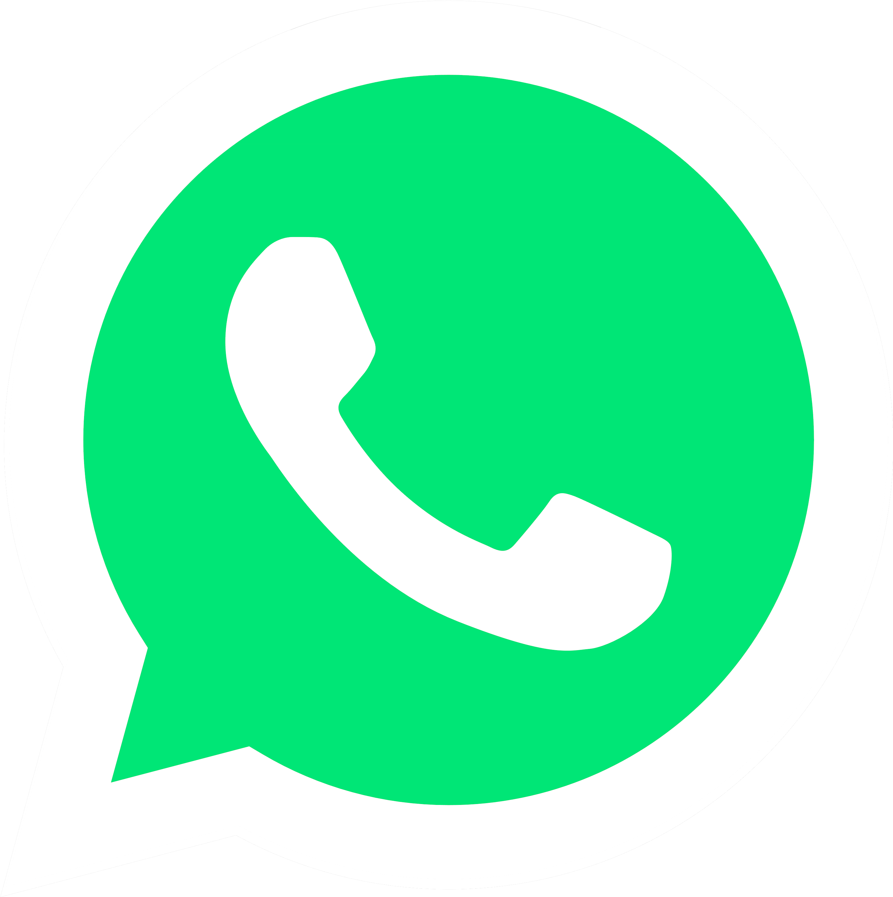 whatsapp icon